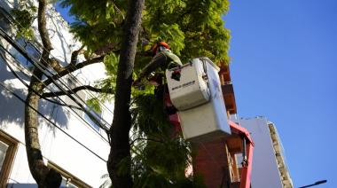 Cómo inscribirse al plan de poda 2025 en Vicente López