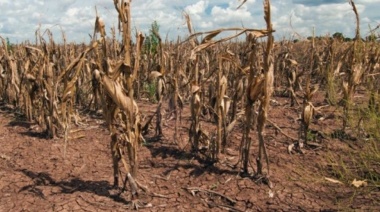 Nación declara la emergencia por sequía en más de 60 distritos