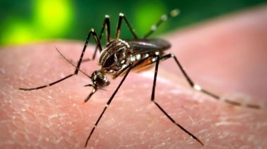 San Isidro lanzó una campaña integral para prevenir el dengue