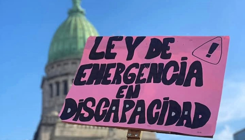 El Gobierno reglamentó la Ley de Emergencia en Discapacidad