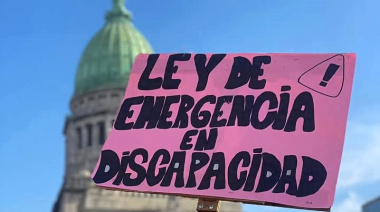 El Gobierno reglamentó la Ley de Emergencia en Discapacidad