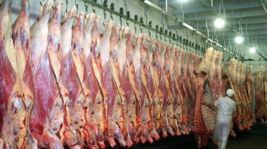 Cerró un frigorífico en el conurbano y hay 140 despidos