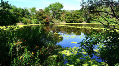 Reserva Natural de Vicente López: el refugio verde que sorprende en plena ciudad
