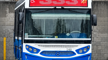 Vuelve la línea 333 con tres ramales en Zona Norte: cuáles son los nuevos recorridos