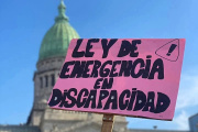 El Gobierno reglamentó la Ley de Emergencia en Discapacidad