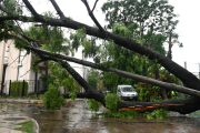Intenso temporal afectó al AMBA: inundaciones y destrozos en distintas zonas