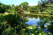 Reserva Natural de Vicente López: el refugio verde que sorprende en plena ciudad