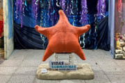 La muestra "Vidas submarinas" inicia una gira por cinco municipios de la Provincia
